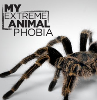 My Extreme Animal Phobia